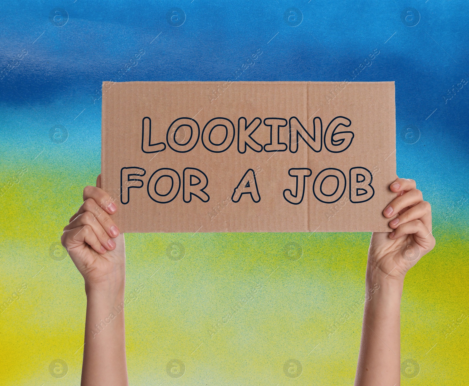 Image of Unemployed due to war. Woman holding cardboard sheet with phrase Looking For A Job against colors of Ukrainian flag, closeup