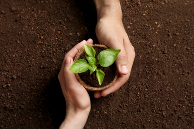 Man and woman holding pot with seedling on soil, top view