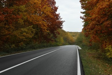 Photo of Beautiful forest near empty road. Autumn season