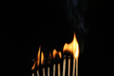 Line of burning matches on black background, space for text