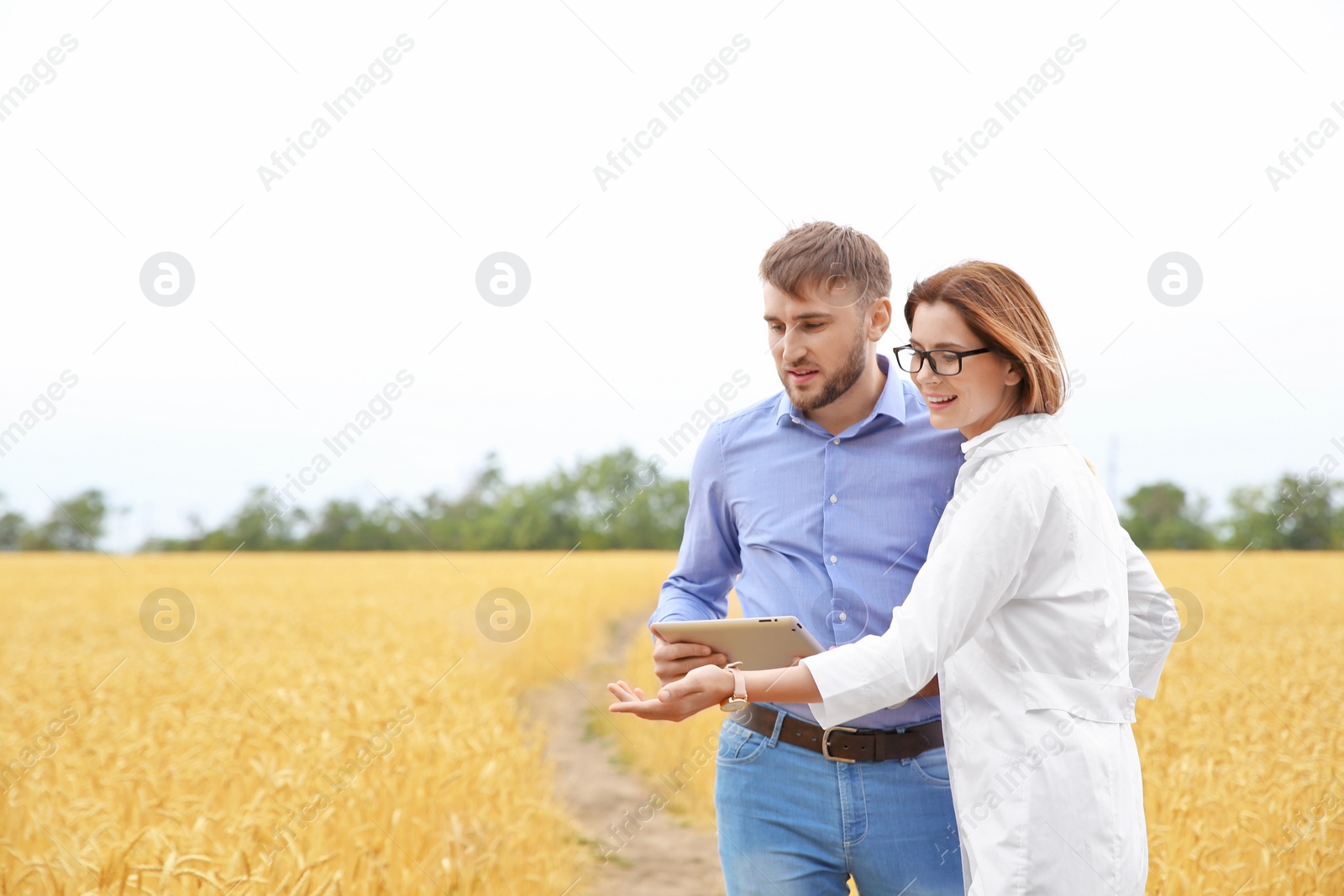 Photo of Young agronomists in grain field. Cereal farming