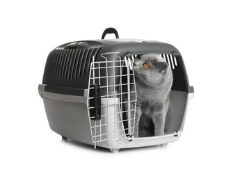 Photo of Adorable grey British Shorthair cat inside carrier on white background