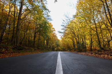 Photo of Beautiful view of asphalt road going through autumn forest