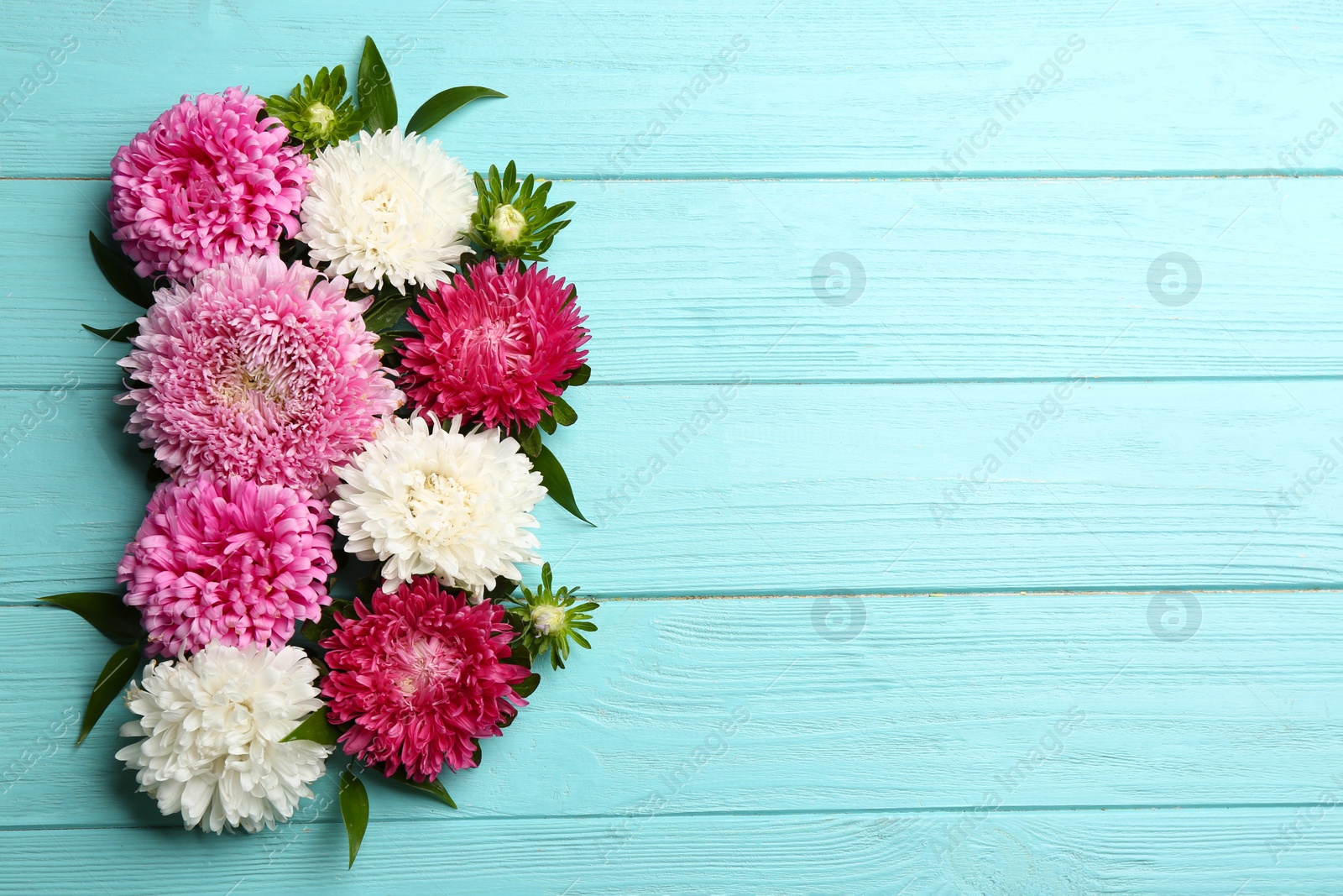 Photo of Beautiful asters and space for text on light blue wooden background, flat lay. Autumn flowers