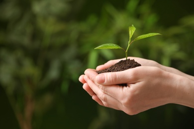 Photo of Woman holding pile of soil and seedling on blurred background, closeup. Space for text