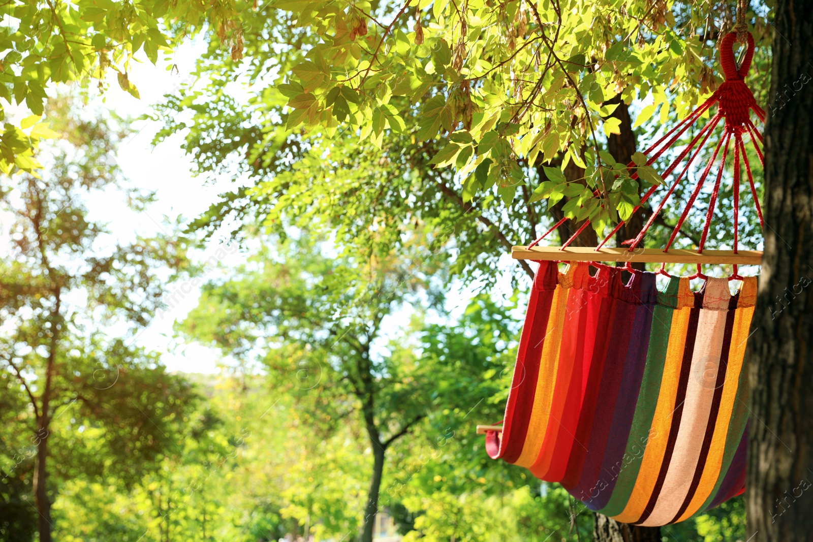 Photo of Bright comfortable hammock hanging in green garden