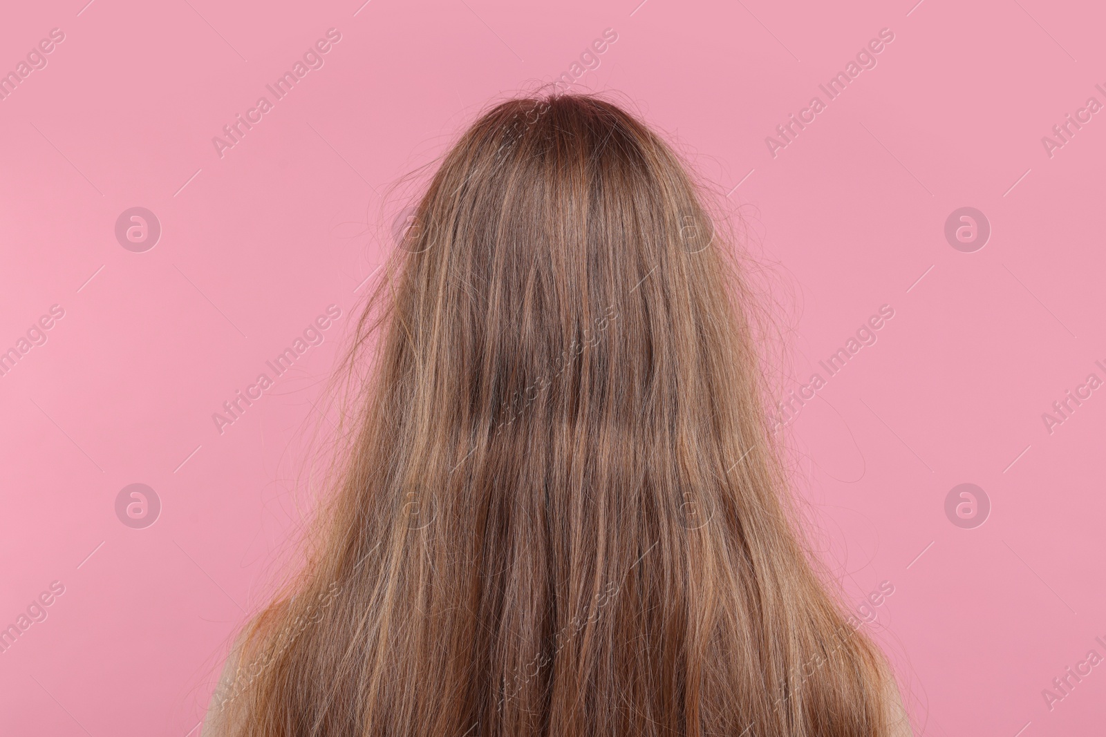 Photo of Woman with damaged hair on pink background, back view