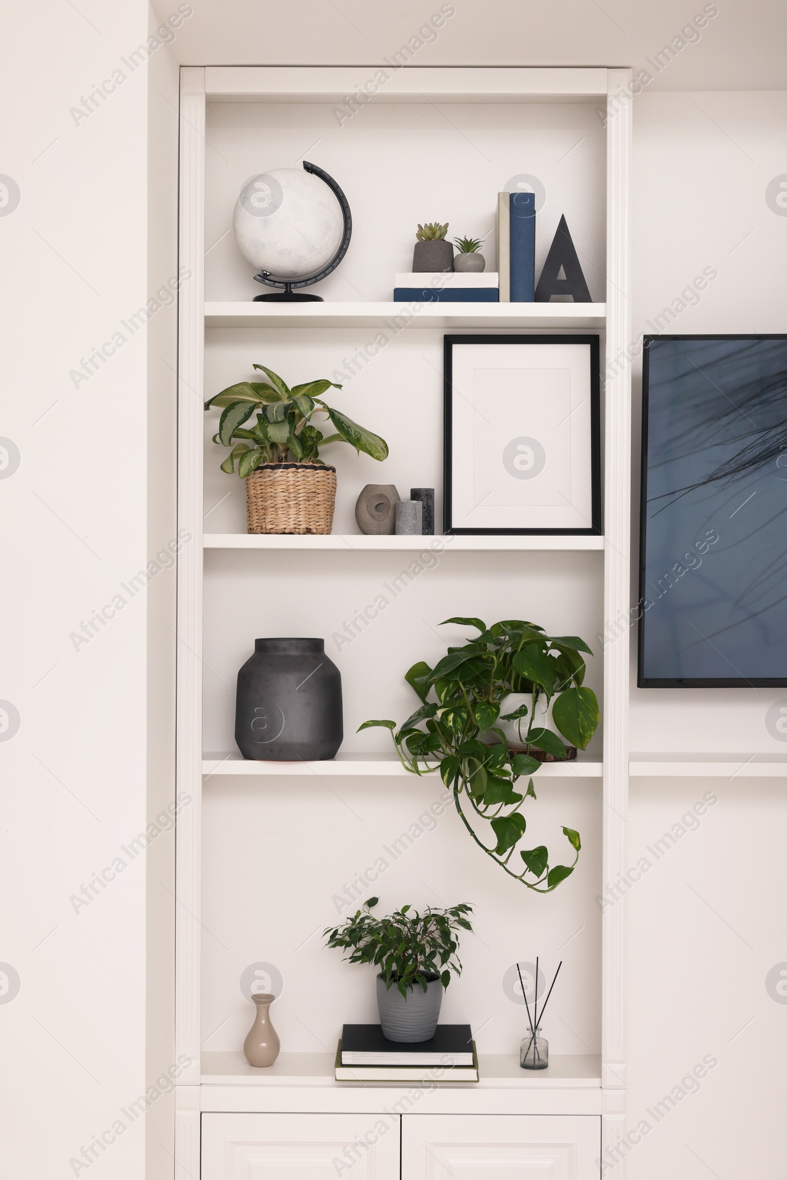 Photo of Interior design. Shelves with stylish accessories, potted plants and frame near white wall