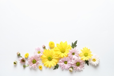 Photo of Beautiful chamomile flowers on white background, flat lay with space for text