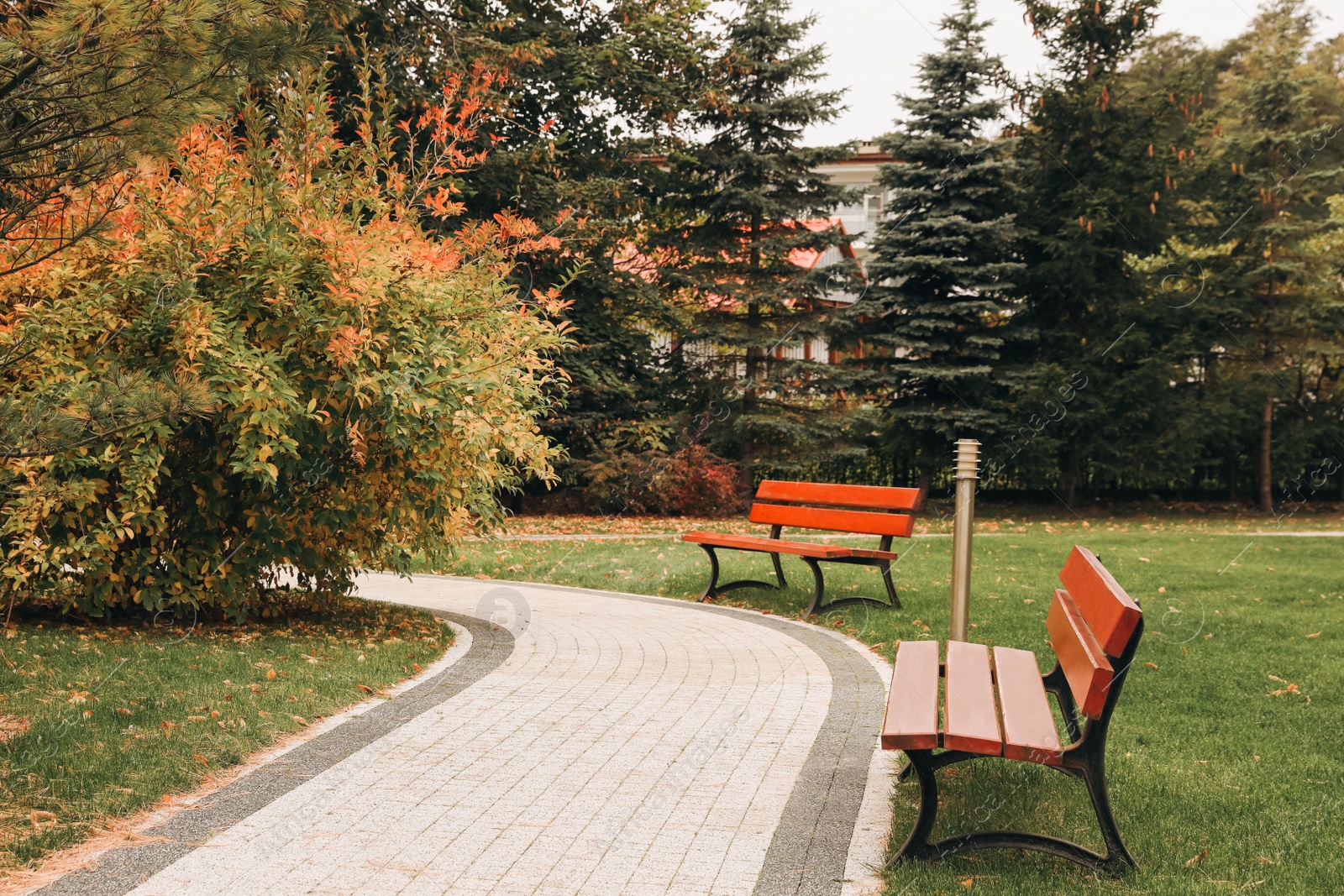 Photo of Winding pathway with beautiful bushes and benches in park