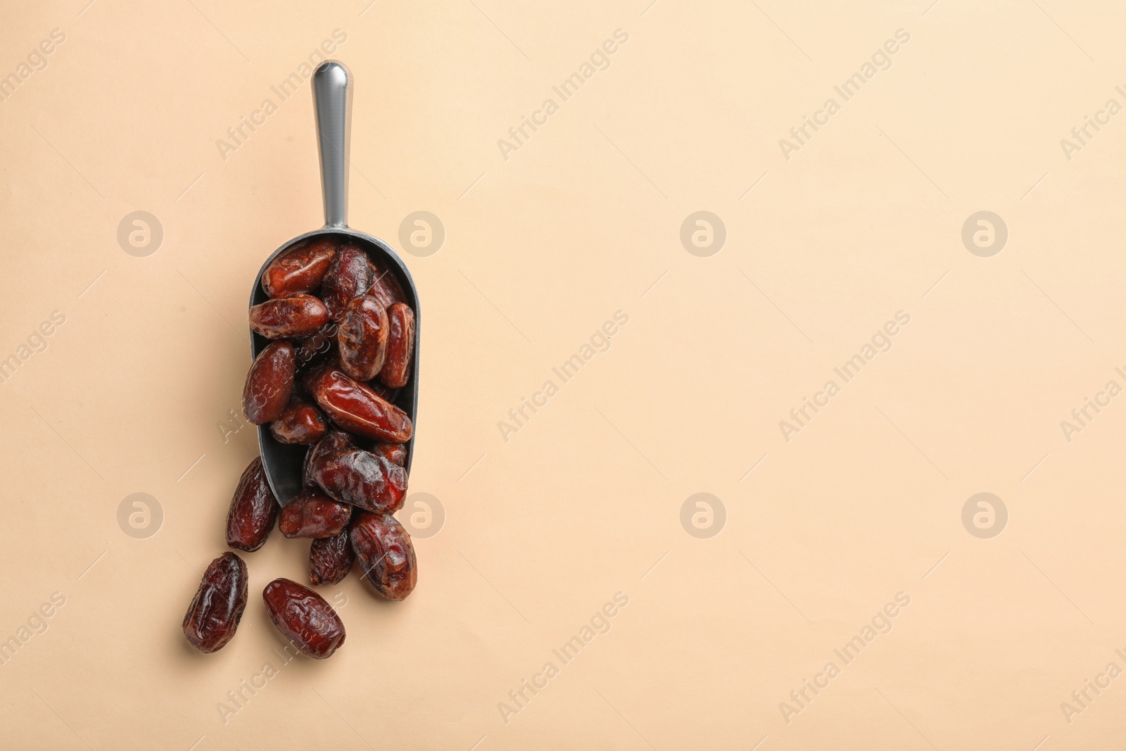 Photo of Scoop with sweet dried date fruits on color background, top view. Space for text
