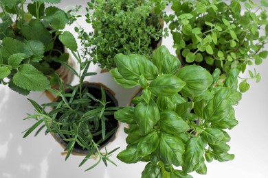 Different fresh potted herbs on windowsill indoors, above view