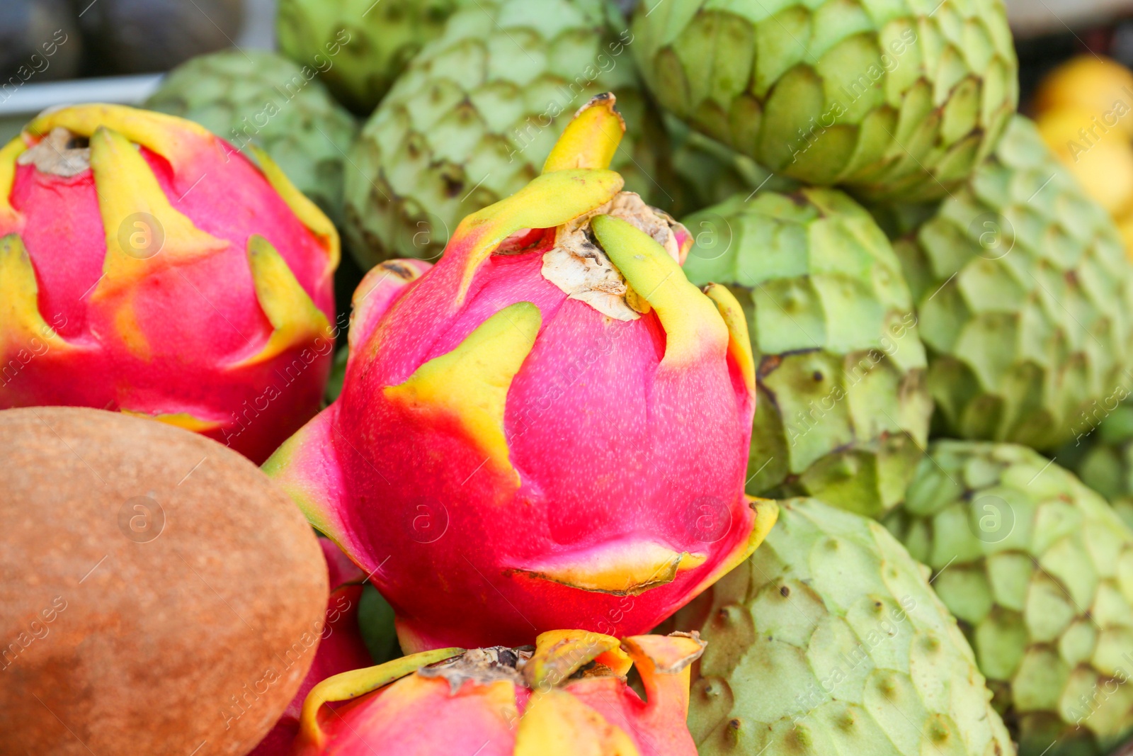 Photo of Cherimoya, sapodilla and dragon fruit at market, closeup. Space for text