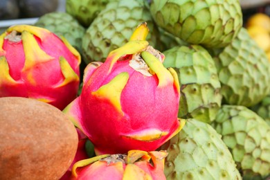 Photo of Cherimoya, sapodilla and dragon fruit at market, closeup. Space for text
