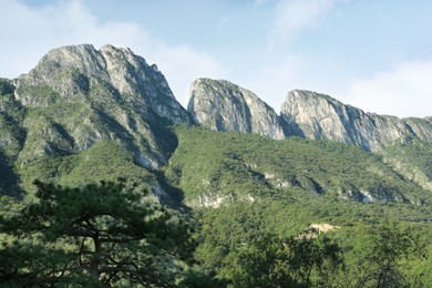 Photo of Picturesque view of high mountains and trees