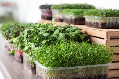 Photo of Fresh organic microgreens assortment on wooden table, closeup