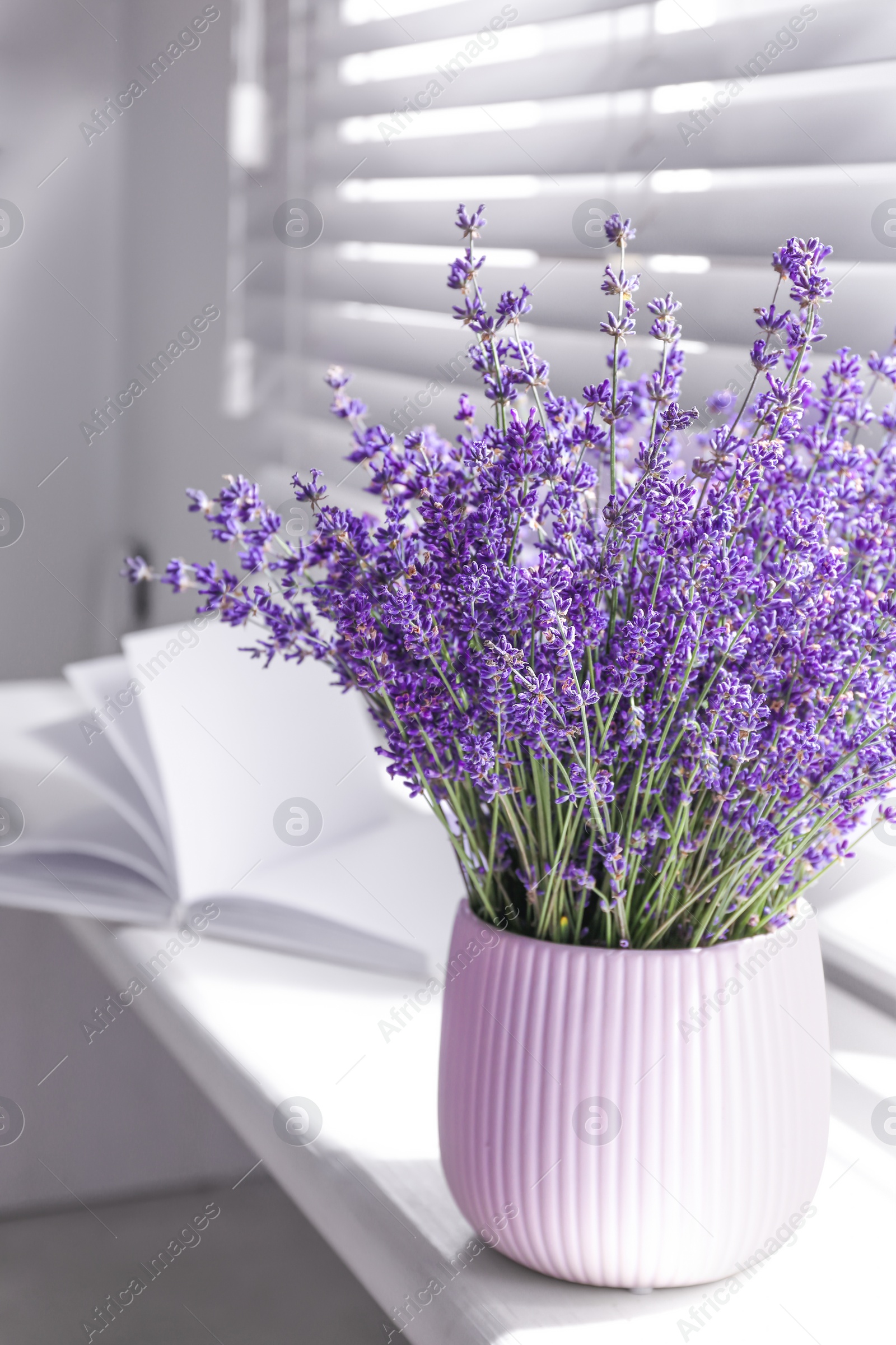 Photo of Beautiful lavender flowers and book on window sill indoors