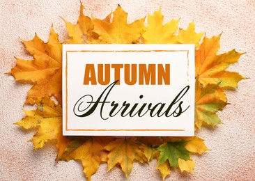 Autumn arrivals flyer design. Card with text and beautiful dry leaves on color background, top view