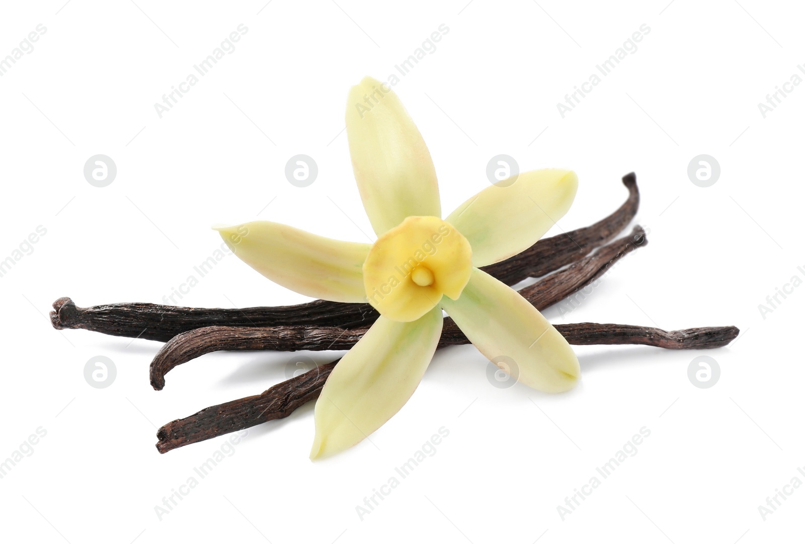 Photo of Aromatic vanilla sticks and beautiful flower on white background