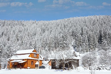 Picturesque view of wooden cabin and beautiful forest covered with snow in winter