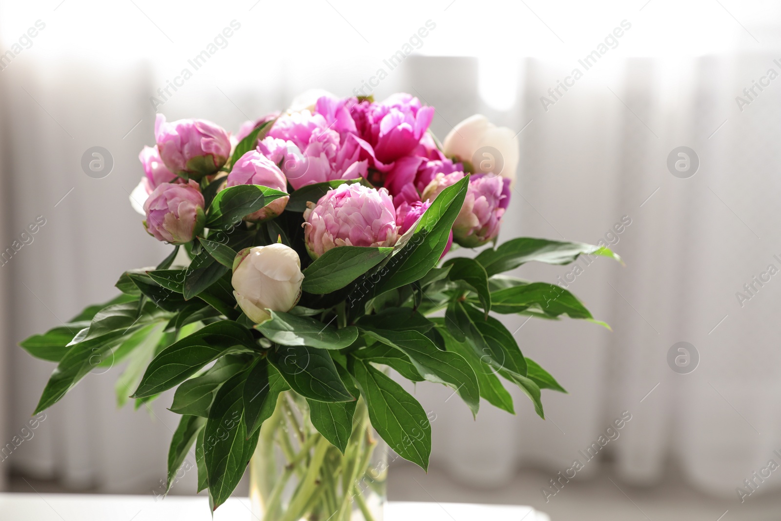 Photo of Vase with bouquet of beautiful peonies in room, space for text