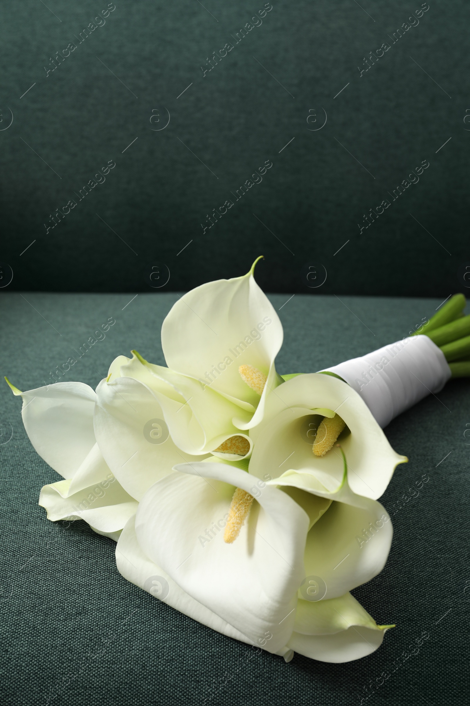 Photo of Beautiful calla lily flowers tied with ribbon on sofa