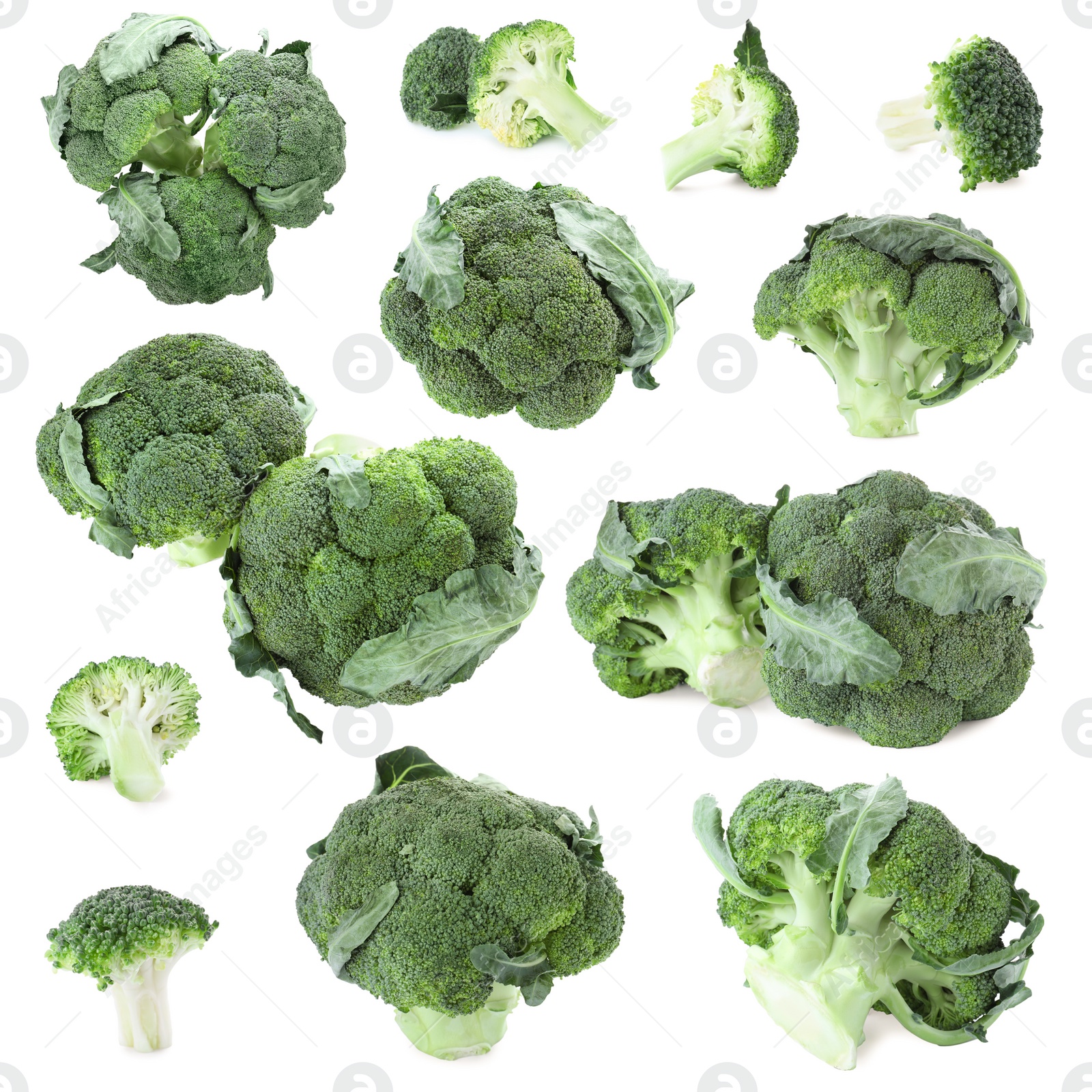 Image of Set of fresh green broccoli on white background