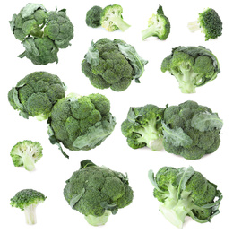 Image of Set of fresh green broccoli on white background