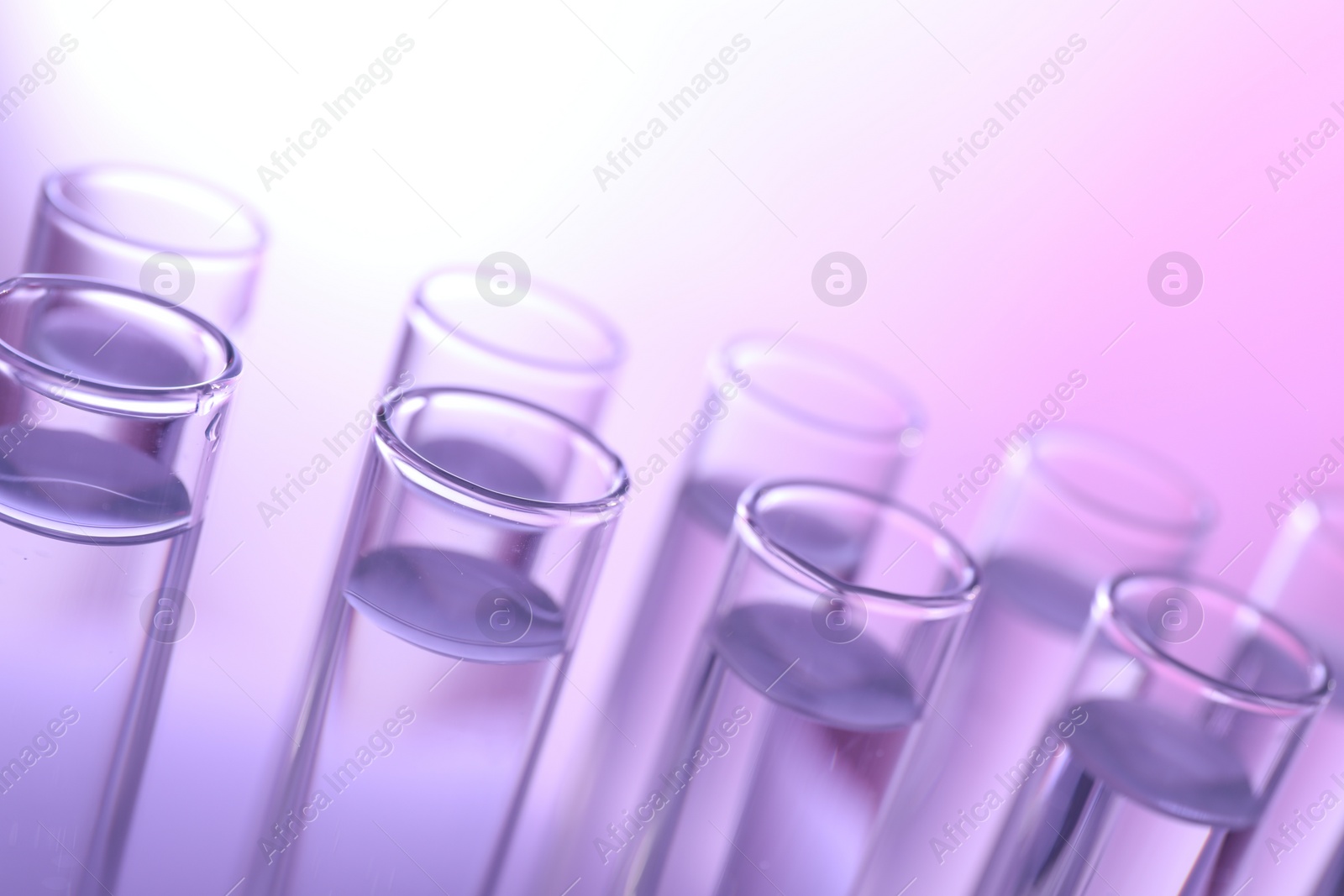 Photo of Many glass test tubes on light background, closeup