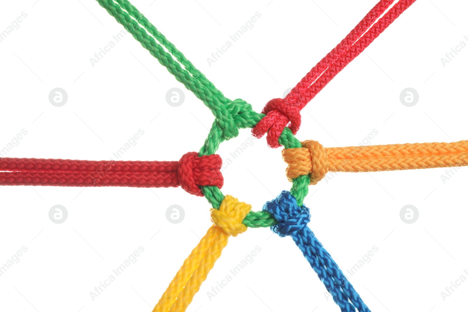 Photo of Colorful ropes tied together isolated on white. Unity concept