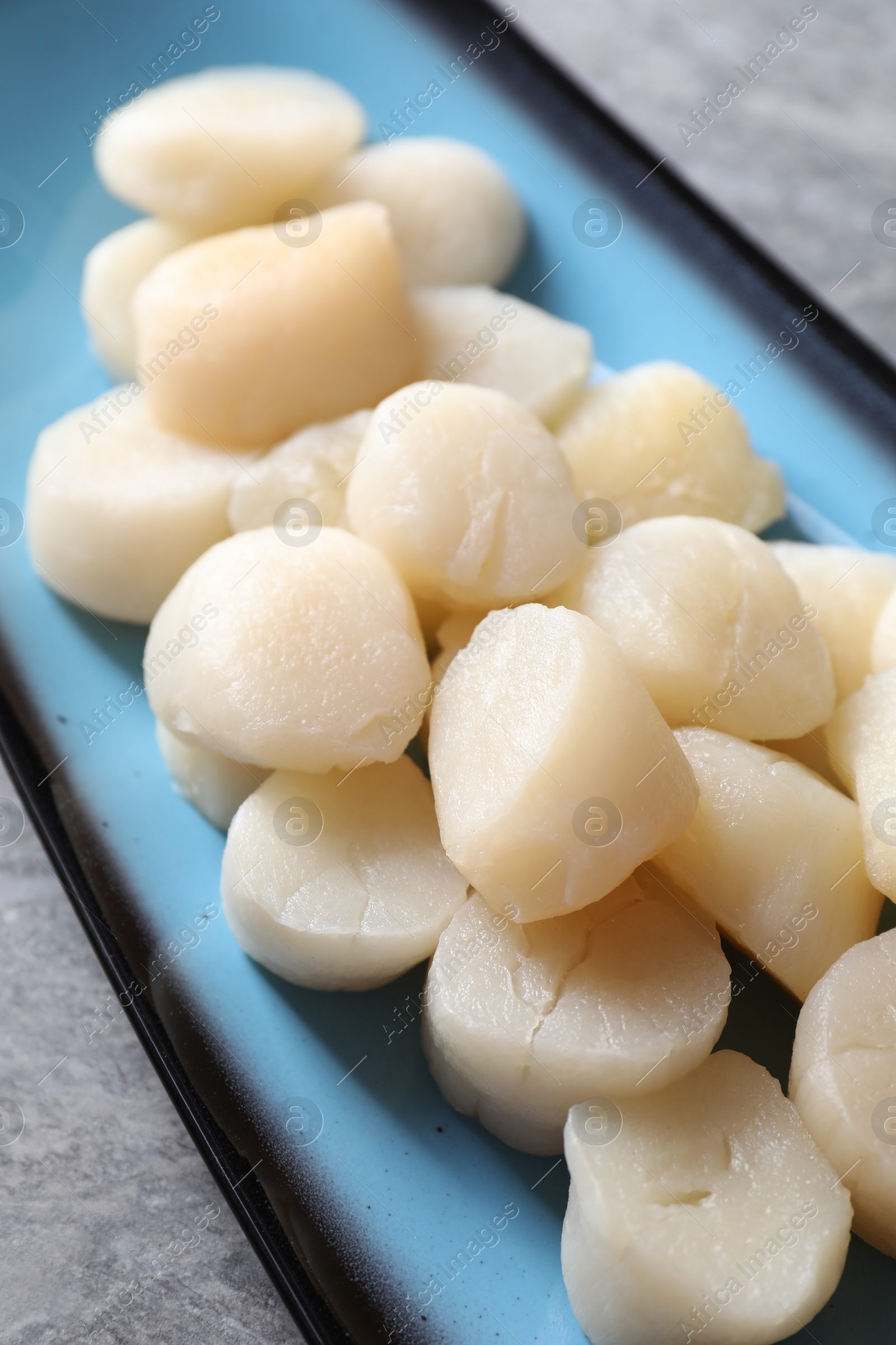 Photo of Fresh raw scallops on grey table, closeup