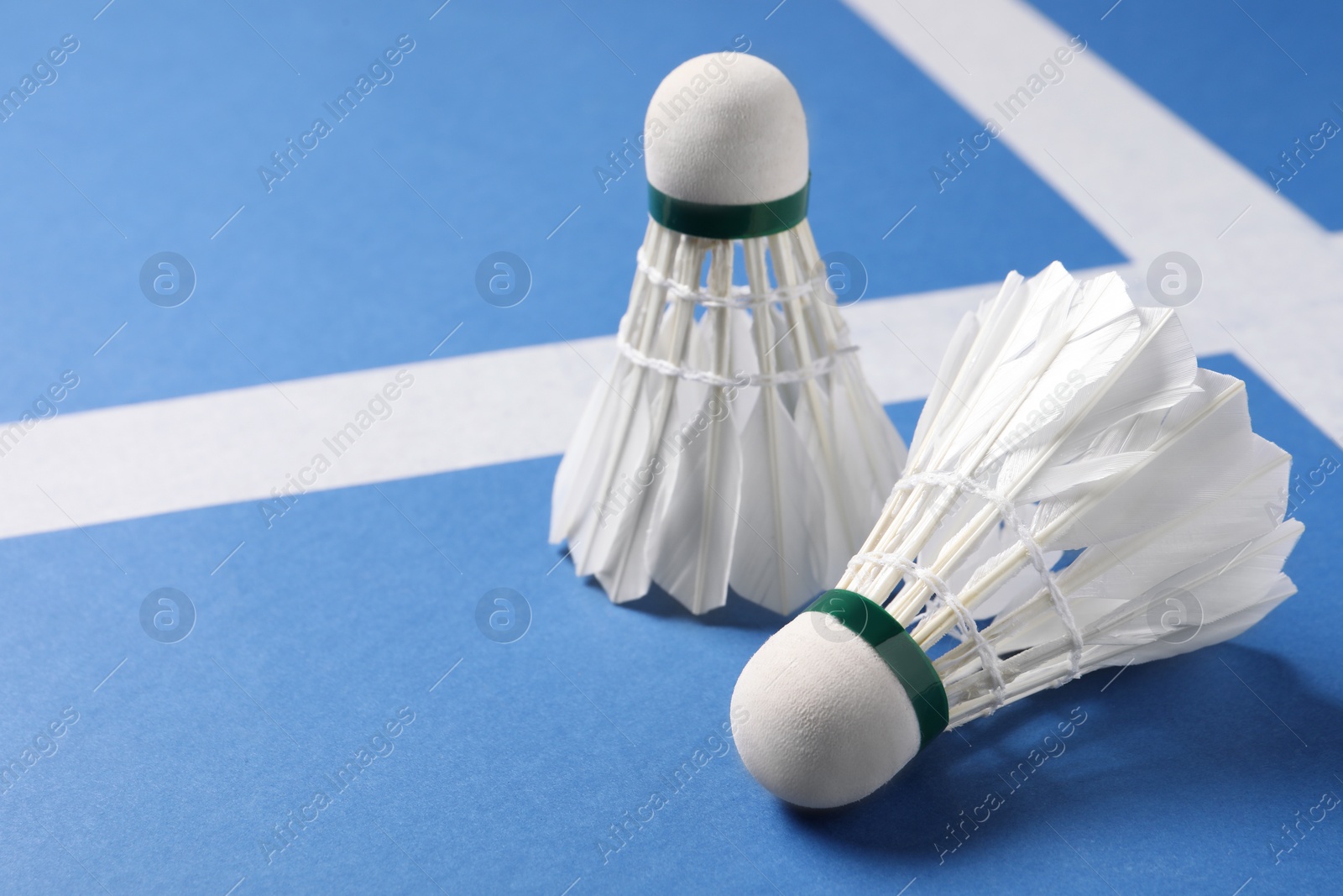 Photo of Feather badminton shuttlecocks on blue background, closeup. Space for text