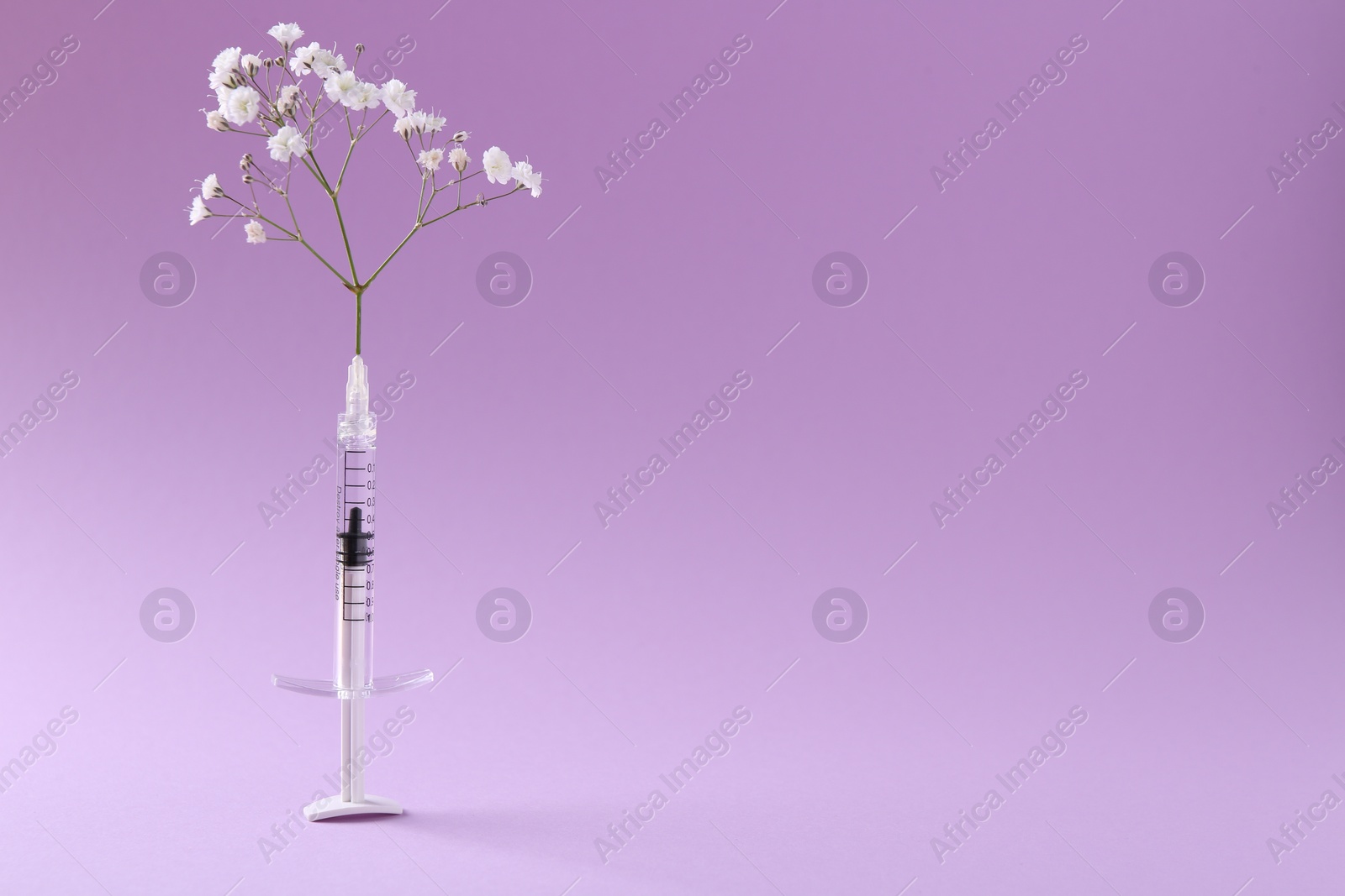 Photo of Cosmetology. Medical syringe and gypsophila on violet background, space for text