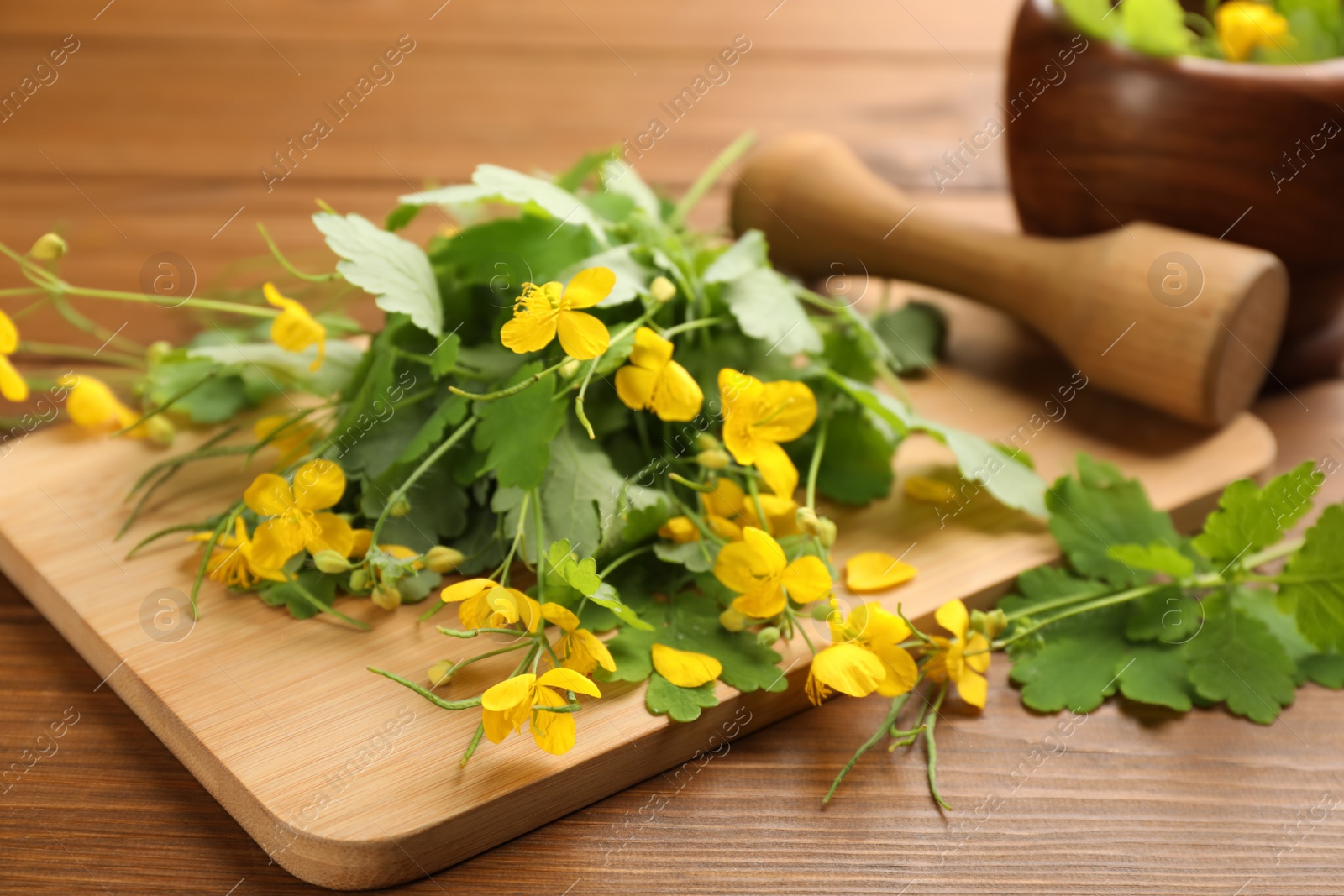 Photo of Celandine and board on wooden table, closeup