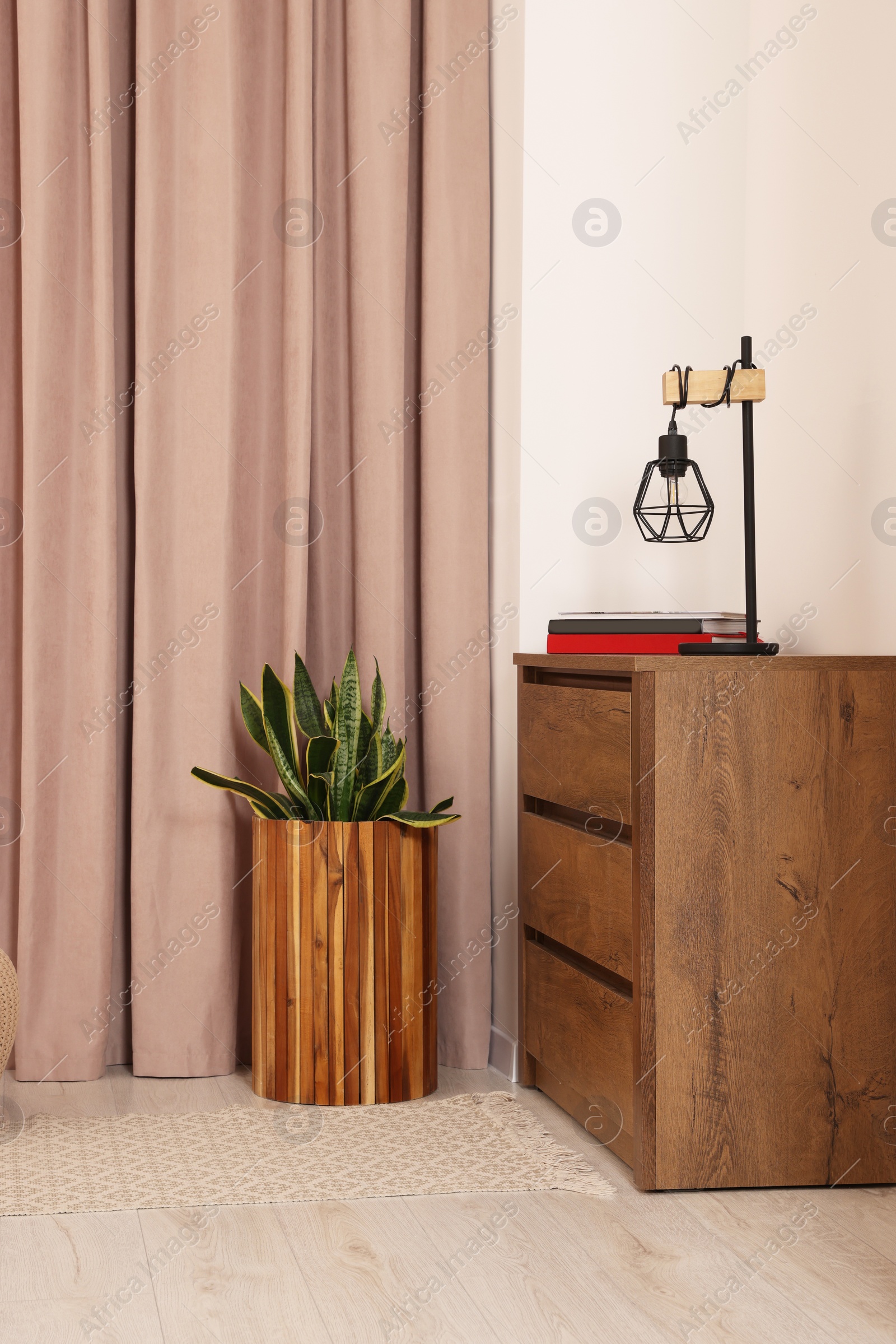 Photo of Stylish room interior with chest of drawers, houseplant and curtains