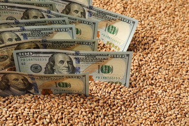 Photo of Dollar banknotes on wheat grains, closeup. Agricultural business
