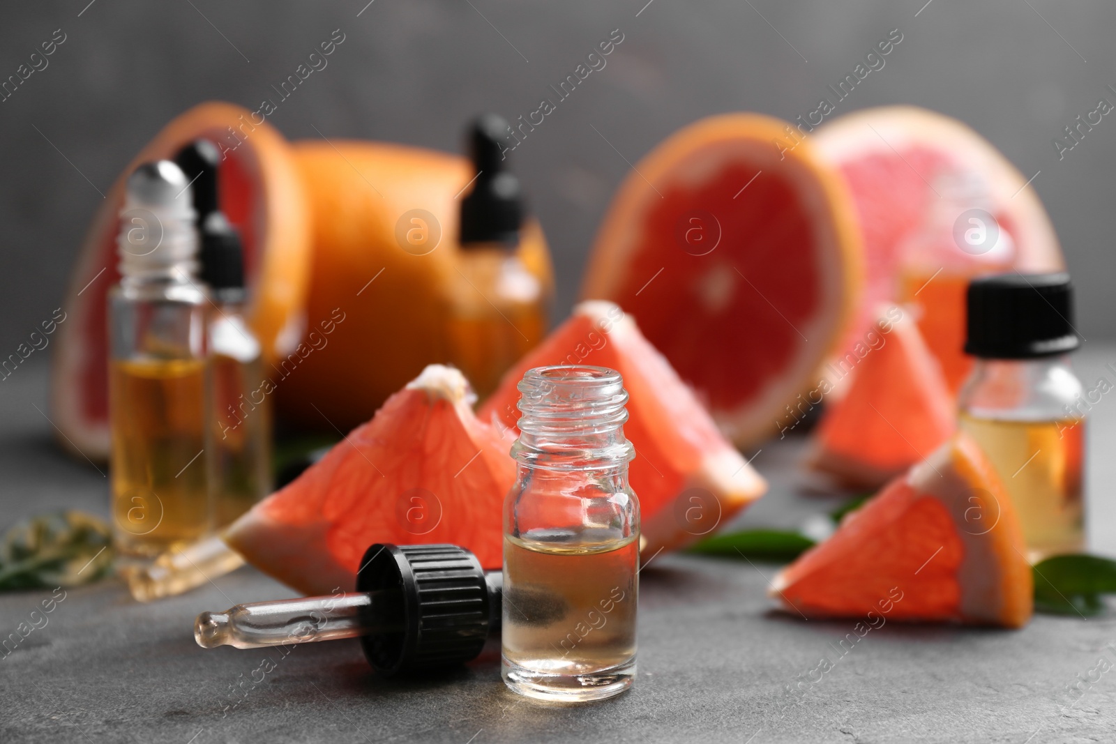 Photo of Bottles of essential oil and grapefruits on grey table