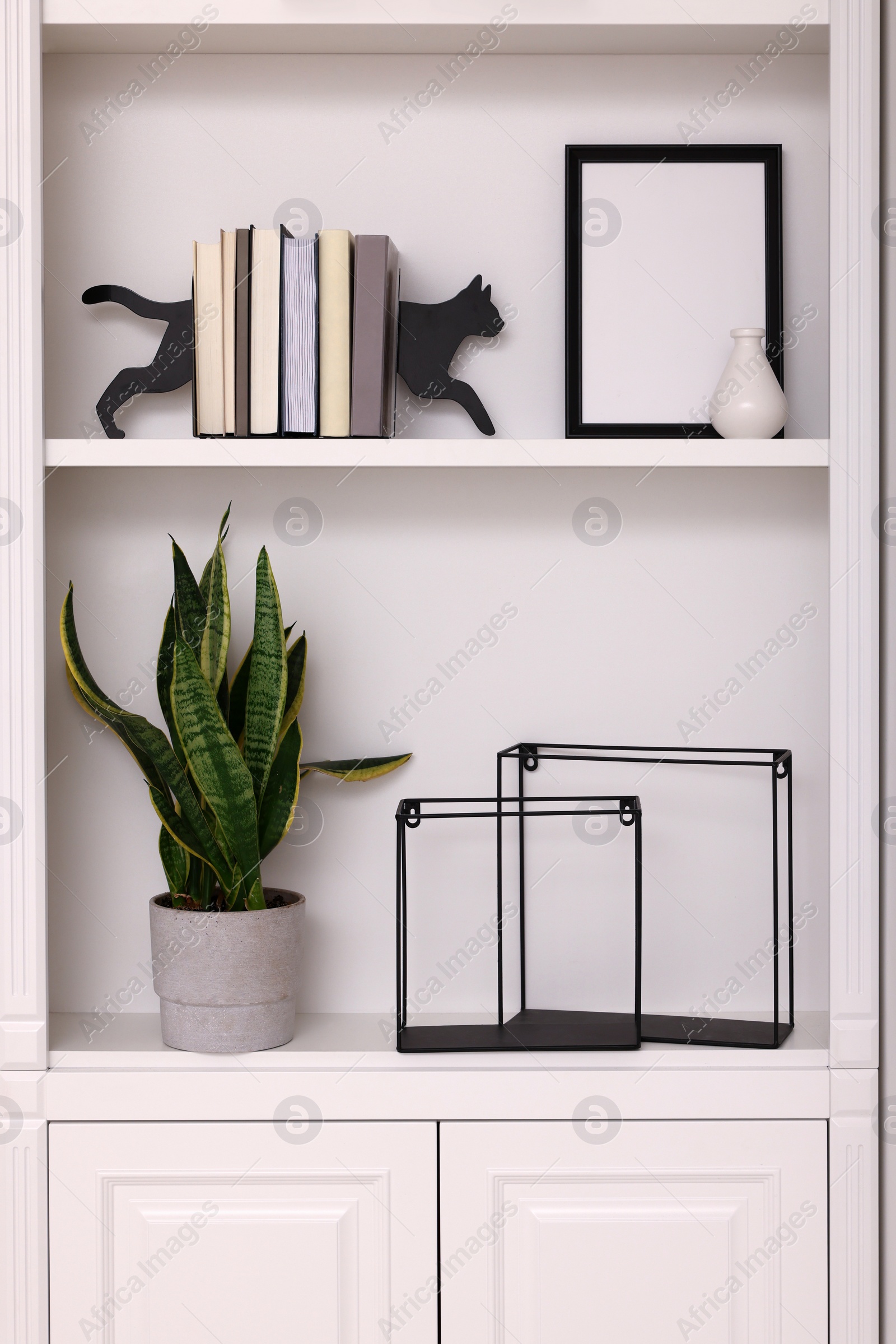 Photo of Interior design. Shelves with stylish accessories, potted plant and books near white wall