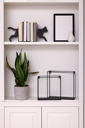 Interior design. Shelves with stylish accessories, potted plant and books near white wall