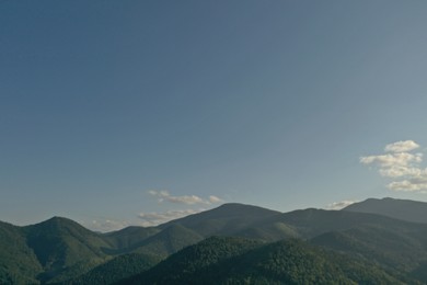 Aerial view of beautiful mountain landscape with forest on sunny day