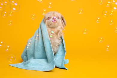 Cute Pekingese dog wrapped in towel and bubbles on orange background, space for text. Pet hygiene