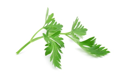 Leaves of fresh tasty parsley on white background