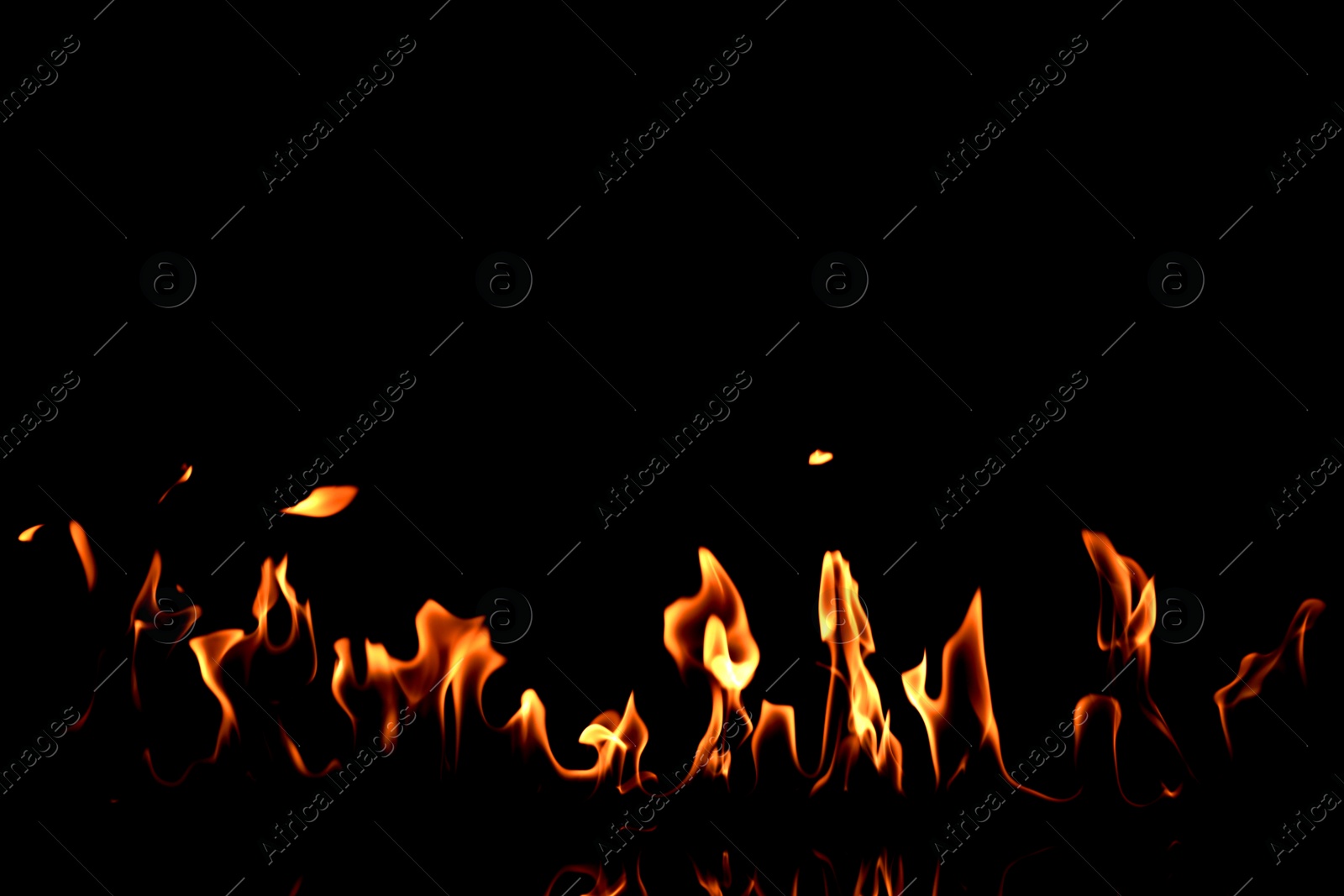 Photo of Beautiful bright fire flames on black background