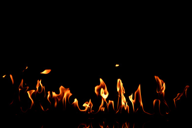 Photo of Beautiful bright fire flames on black background