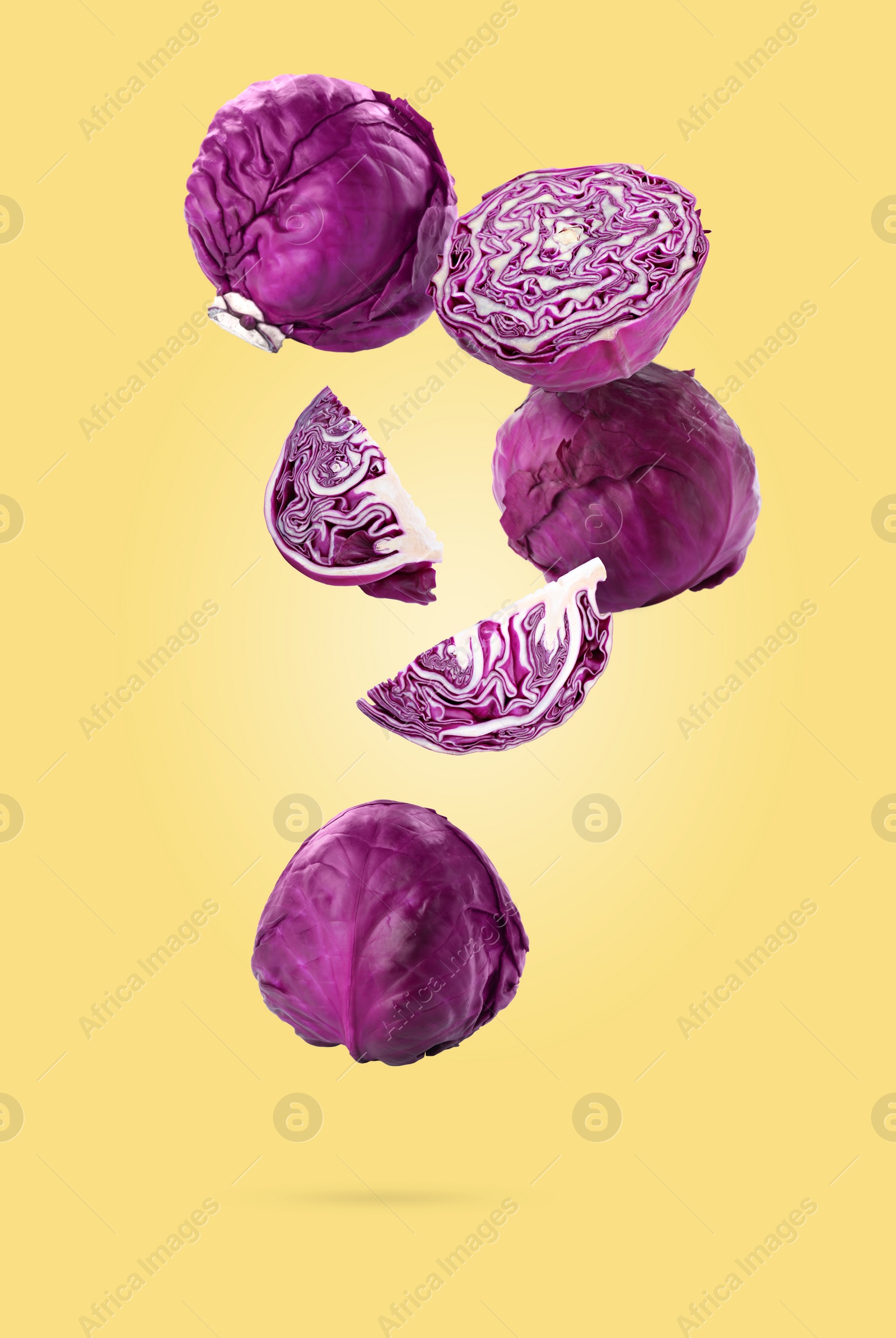 Image of Fresh whole and cut red cabbages falling on pale yellow background