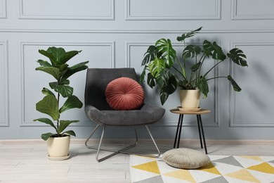 Photo of Comfortable armchair, pillows and green houseplants indoors