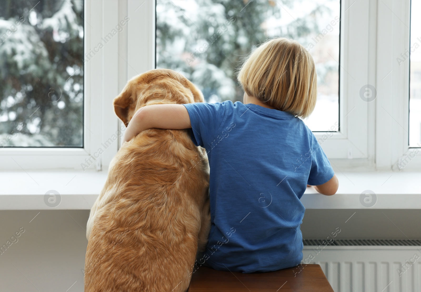 Photo of Cute little child with Golden Retriever near window at home, back view. Adorable pet