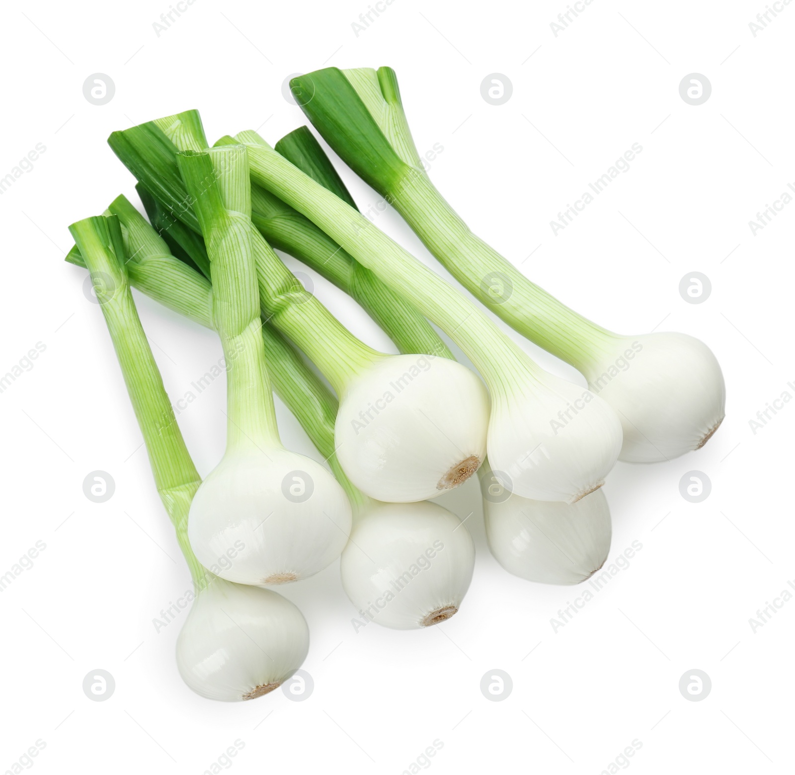 Photo of Whole green spring onions isolated on white, top view