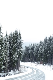 Photo of Beautiful view of conifer forest near road on snowy winter day. Space for text