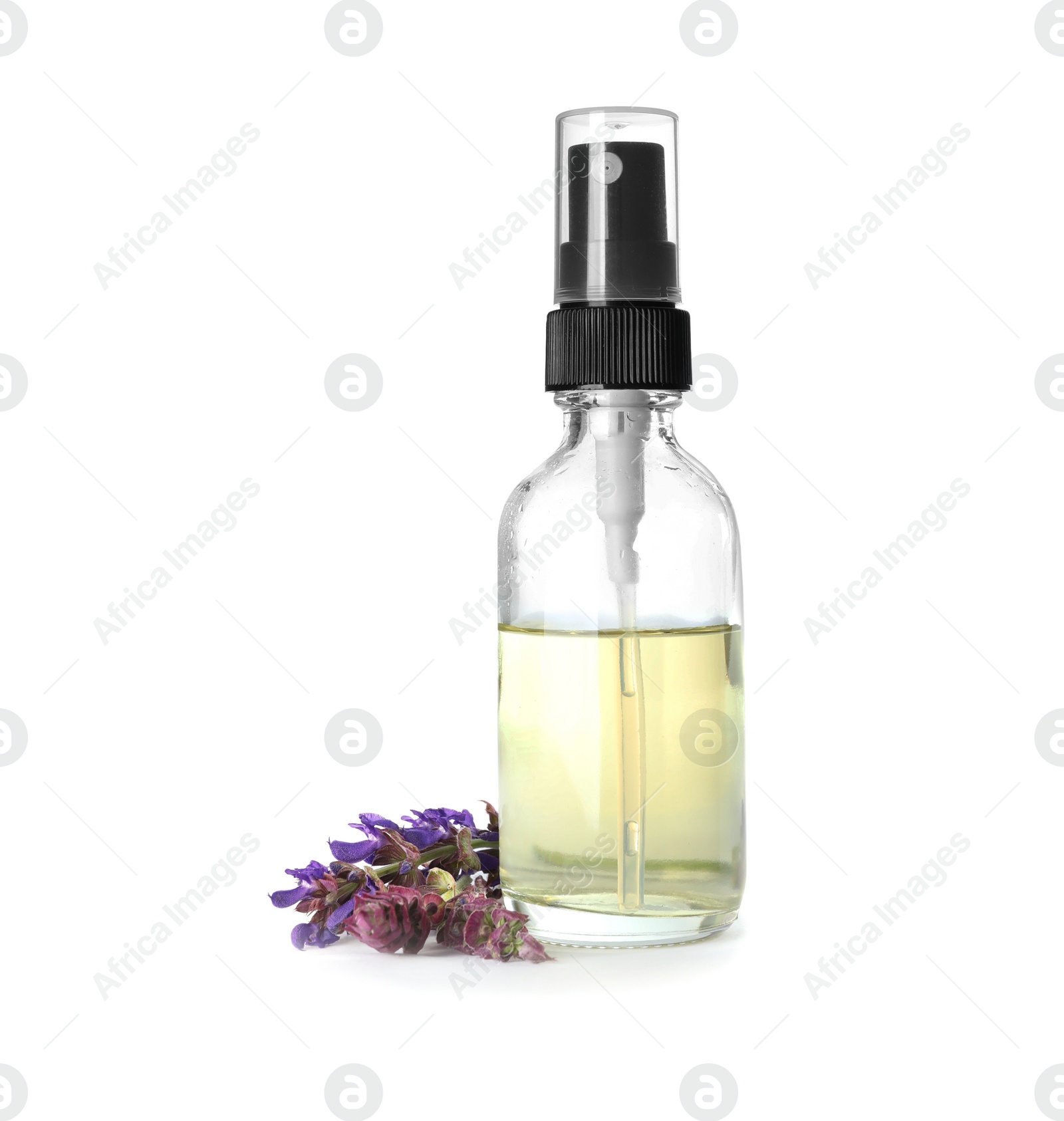 Photo of Bottle of herbal essential oil and sage flowers isolated on white